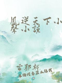 凤逆天下小说有声小说