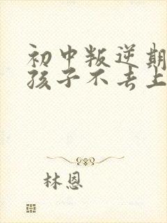 初中叛逆期的男孩子不去上学怎么去引导