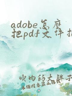 adobe怎么把pdf文件拆分成几个小文件