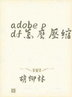 adobe pdf怎么压缩的小一点