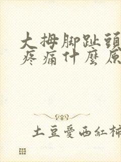 大拇脚趾头关节疼痛什么原因引起的