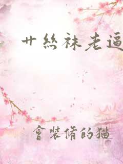 艹丝袜老逼视频