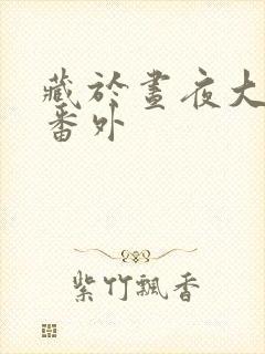 藏于昼夜大结局番外