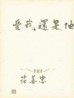 爱我还是他