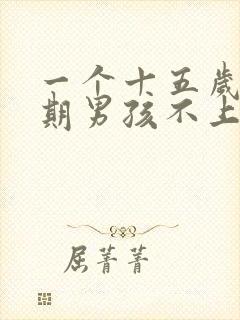 一个十五岁叛逆期男孩不上学该怎么办