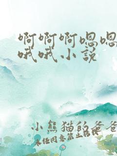 啊啊啊嗯嗯嗯哦哦哦小说