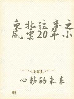 东北往事之黑道风云20年小说txt下载