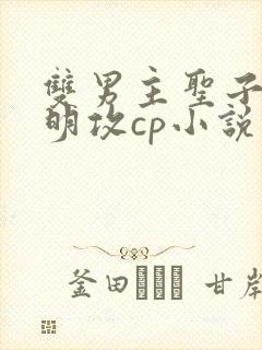 双男主圣子与神明攻cp小说