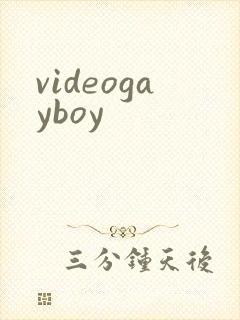 videogayboy