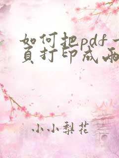 如何把pdf一页打印成两页