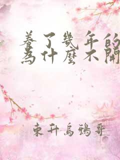 养了几年的兰花为什么不开花