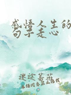 感悟人生的经典句子走心