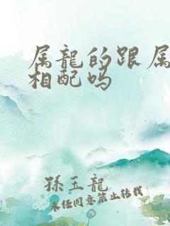 属龙的跟属蛇的相配吗