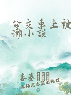 公交车上被插高潮小说