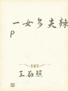 一女多夫辣文np