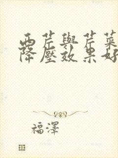 西芹与芹菜哪个降压效果好