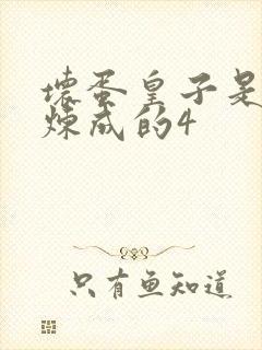 坏蛋皇子是怎样炼成的4