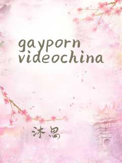 gaypornvideochina