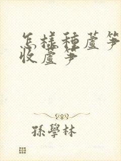 怎样种芦笋及采收芦笋
