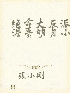 绝命大反派叶玄澹台明月小说