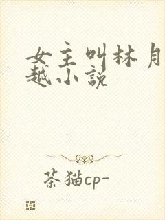 女主叫林月的穿越小说
