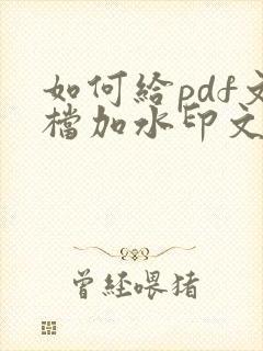 如何给pdf文档加水印文字