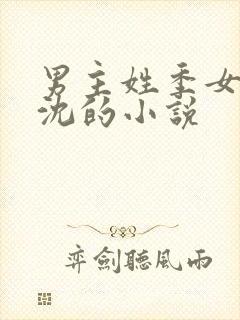 男主姓季女主姓沈的小说