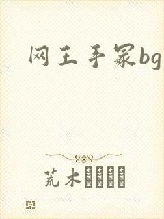 网王手冢bg