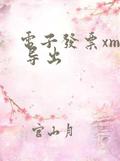 电子发票xml 导出