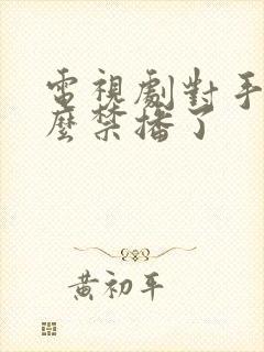 电视剧对手为什么禁播了
