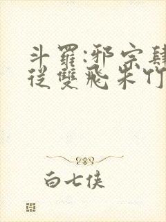 斗罗:邪宗肆虐从双飞朱竹清千仞雪开