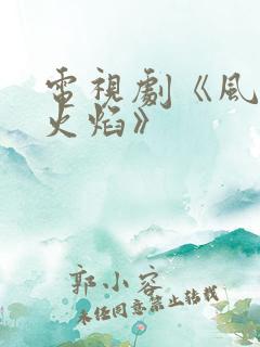 电视剧《风中的火焰》