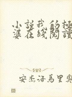 小说我的极品老婆在线阅读免费