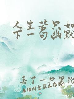 人生若只如初见下一句幽默