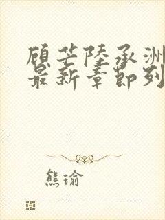 顾芒陆承洲小说最新章节列