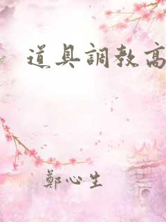道具调教高辣文