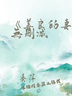 《善良的妻子》无删减