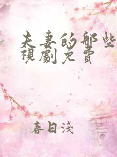 夫妻的那些事电视剧免费