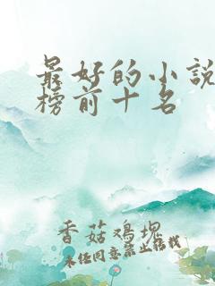 最好的小说排行榜前十名