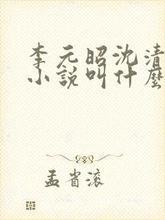 李元昭沈清璃的小说叫什么