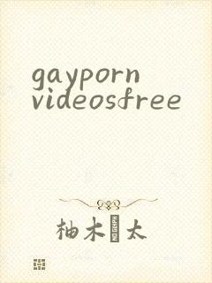 gaypornvideosfree