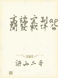 高端定制app开发软件公司