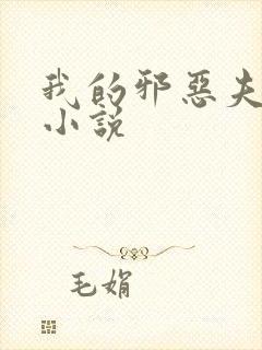 我的邪恶夫君们小说