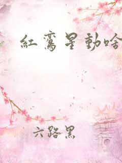 红鸾星动啥意思