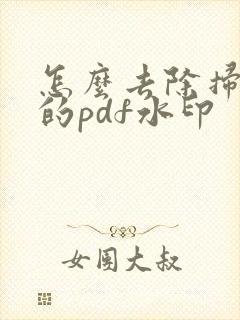 怎么去除扫描王的pdf水印