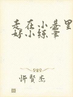 走在小巷里心情好小练笔