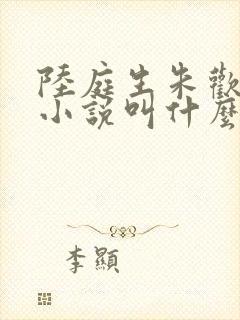 陆庭生朱欢颜的小说叫什么