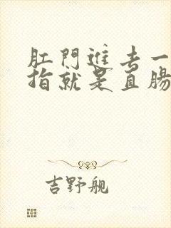肛门进去一个手指就是直肠吗
