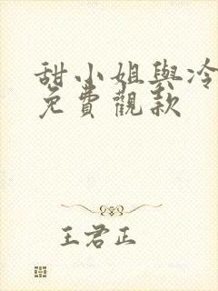 甜小姐与冷先生免费观款