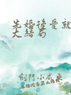 先婚后爱就她吧大结局